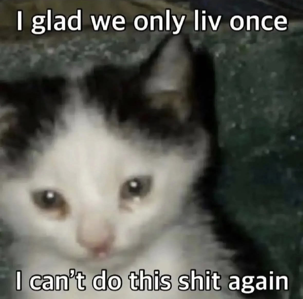 raccoon aesthetic. tweet media