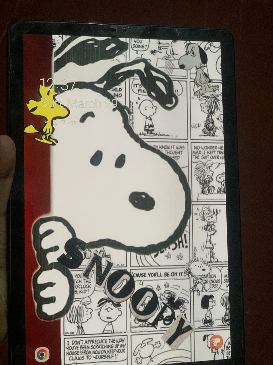 zzzoee, #collegetwit tweet media