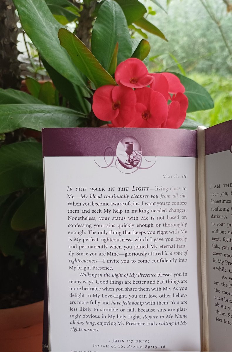 Monique van der KZN 🇿🇦 tweet media