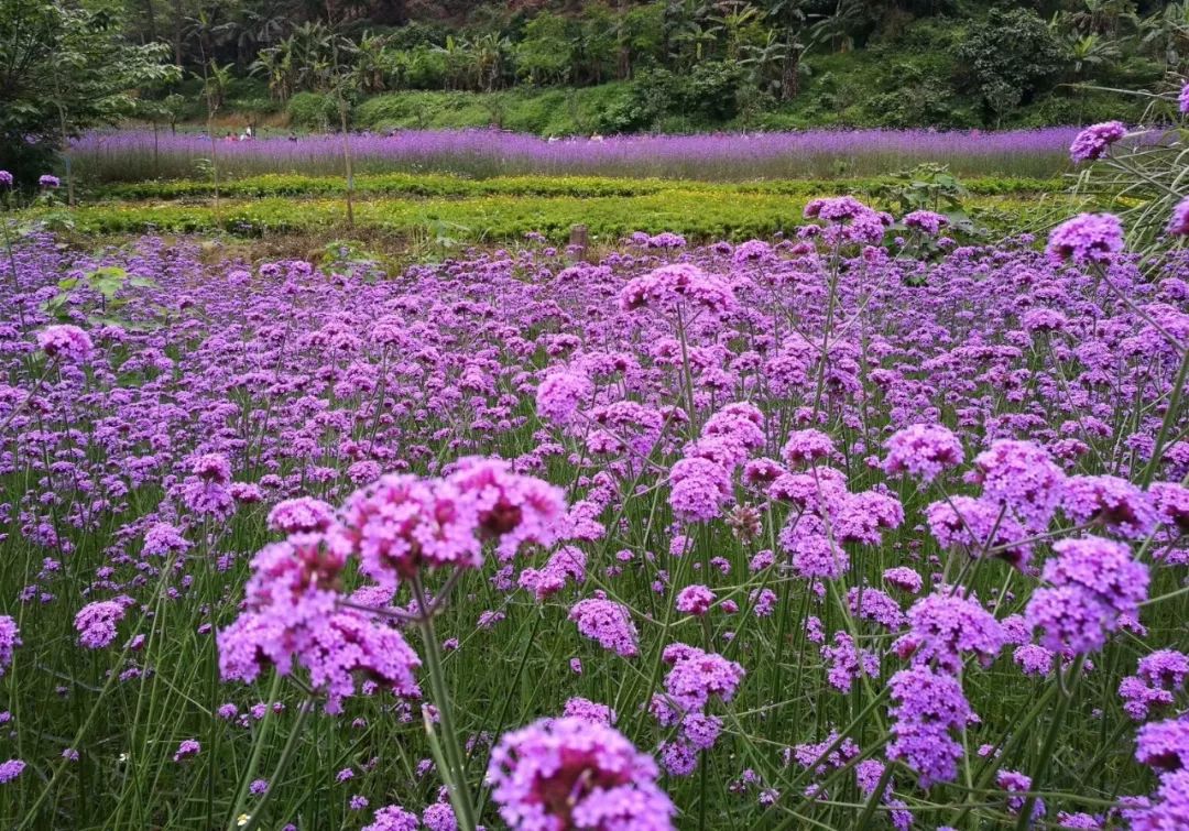 Patrik Garten tweet media