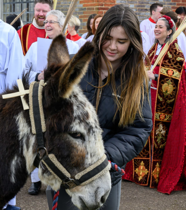 stjudeonthehill's tweet photo. Join us this Palm Sunday at 10.30am for something truly special! We gather at the Free Church and process with a real donkey — just as Jesus entered Jerusalem. #StJudeOnTheHill #Easter2026 #RealDonkey #FamilyWorship #ChurchFamily #HampsteadChurch #CommunityChurch #Easter 🫏🌿✝️ https://t.co/VCuyuv6auj