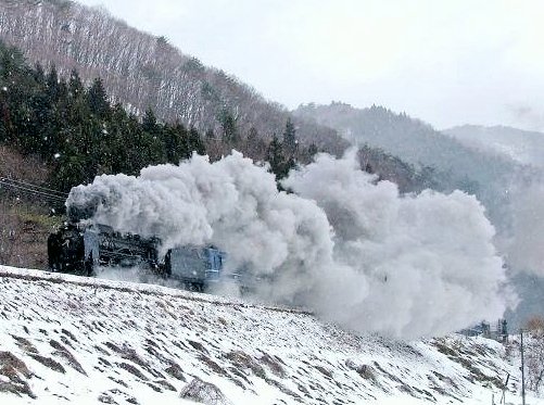 つばさ51号 tweet media