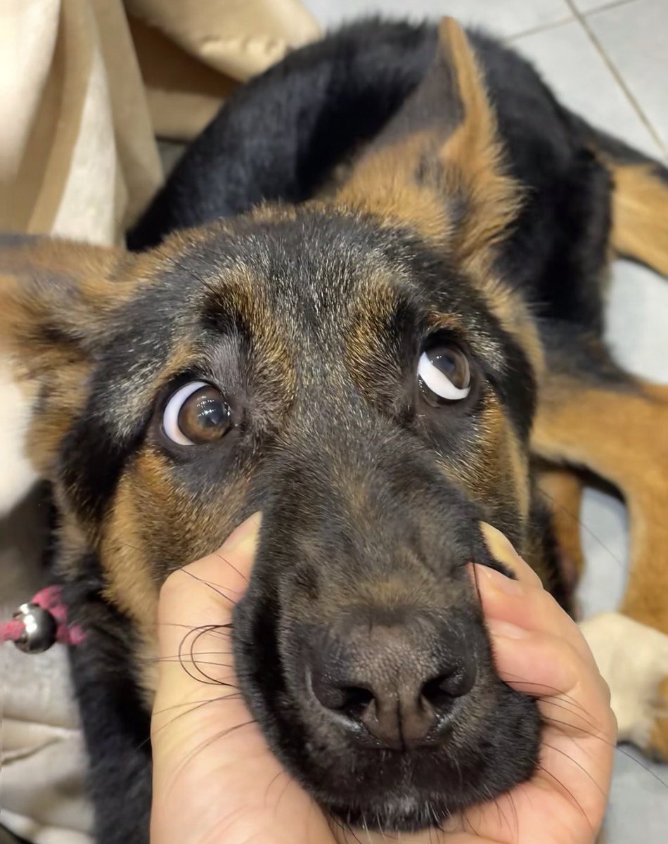 ΕΥΔΑΙΜΩΝ ΕΙ tweet media