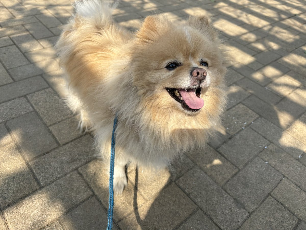 ∞ジェイク∞ tweet media