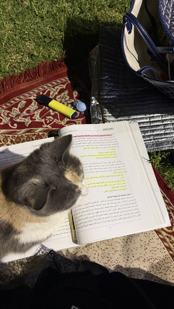 سمو 🦢 tweet media