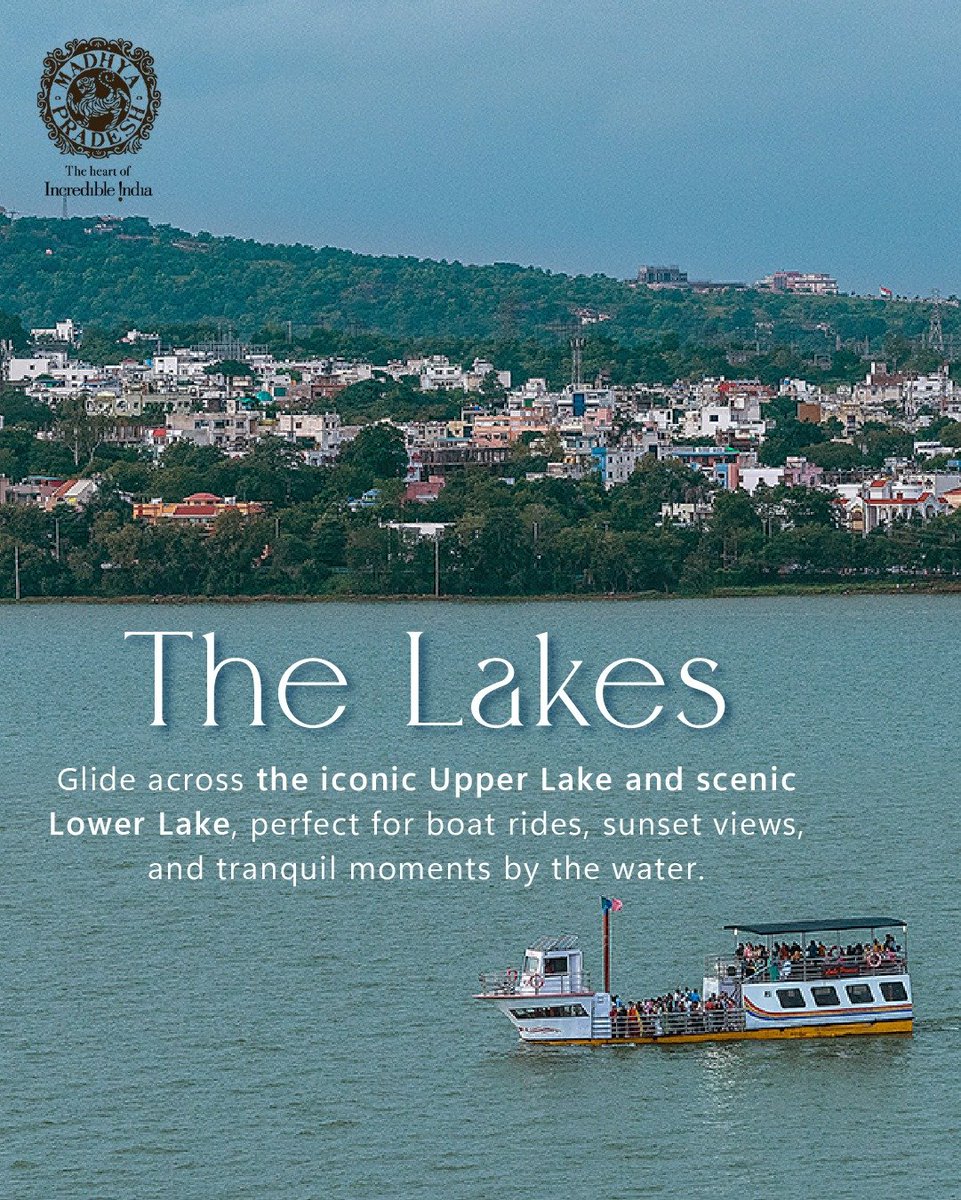 MP International Tourism tweet media