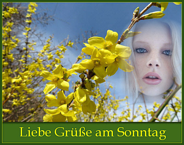 Michael K. tweet media