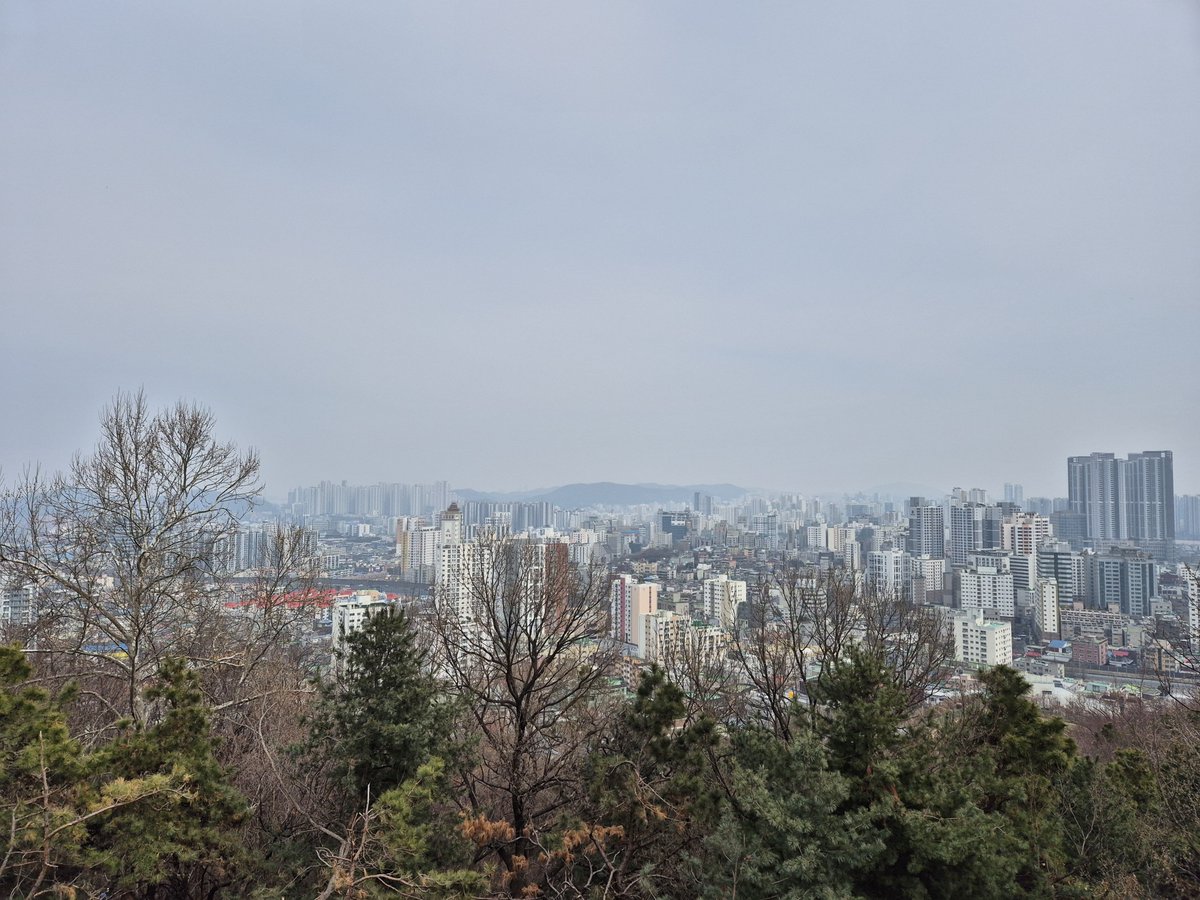 PZJ☀️🐿 tweet media