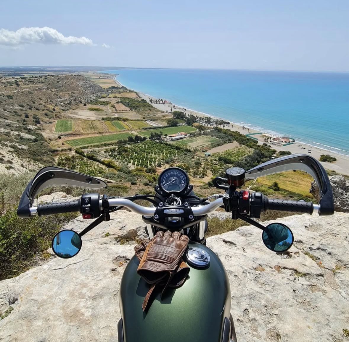 Pingoshi 🥷 tweet media