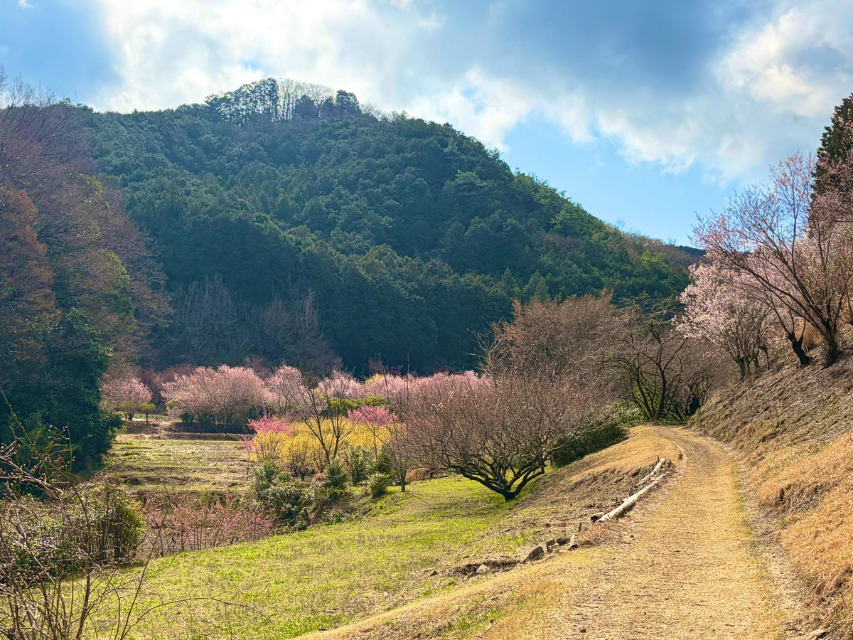 may_carat's tweet photo. 里山の風景にとても心癒されました✨

#小川町の桃源郷 https://t.co/CEsYdGHwr7