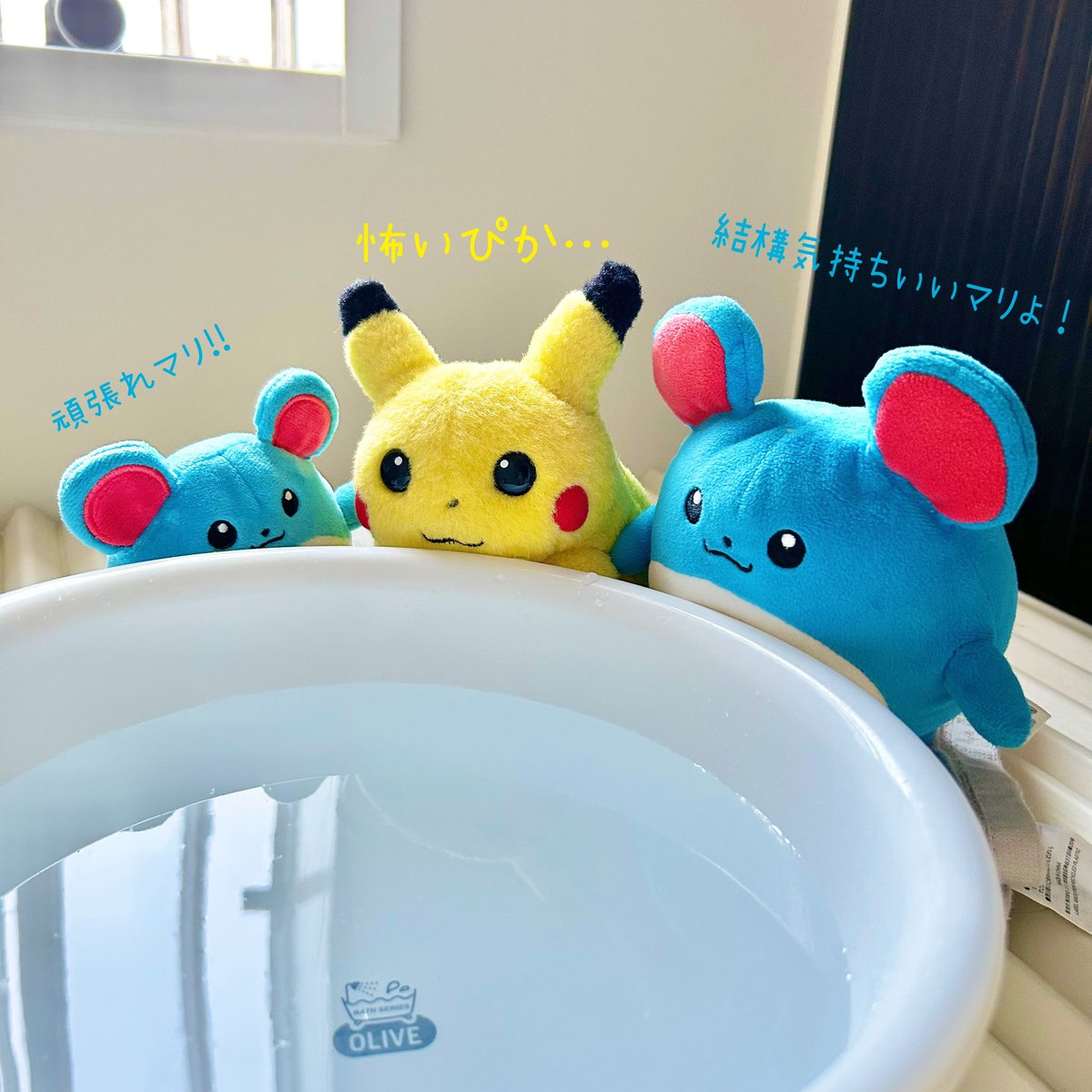 まほりる tweet media