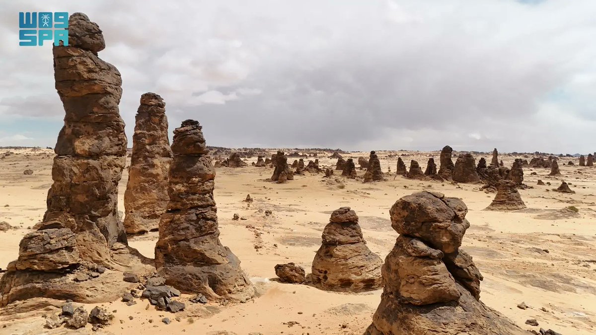 الراصد نيوز 🇸🇦️ tweet media