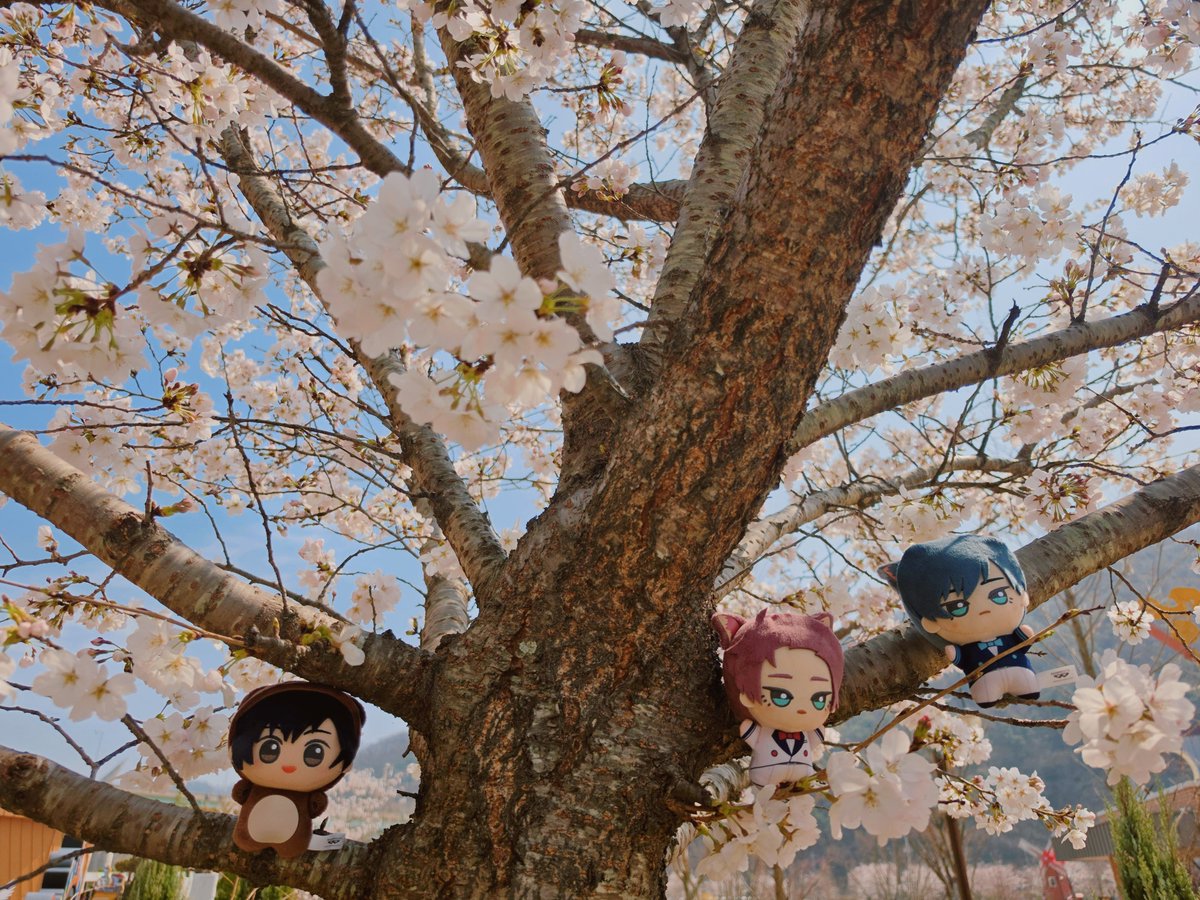 ᰔ (@yoichiheart) on Twitter photo 