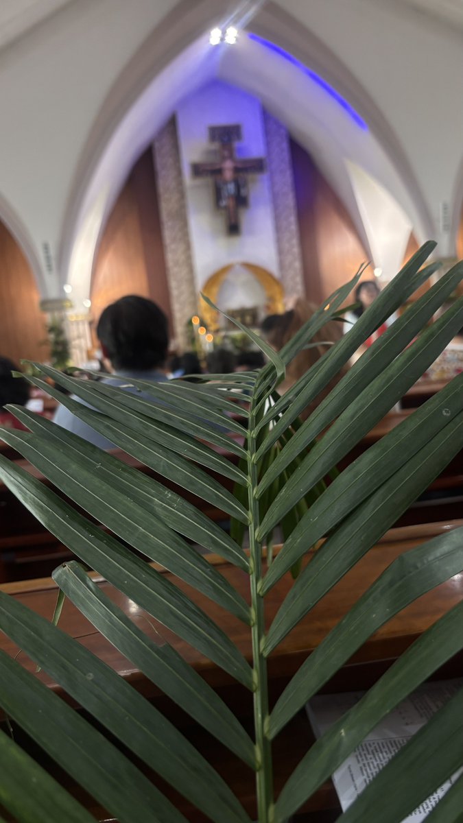 Tomm_prs's tweet photo. Palm Sunday https://t.co/XVlXkQkVyT
