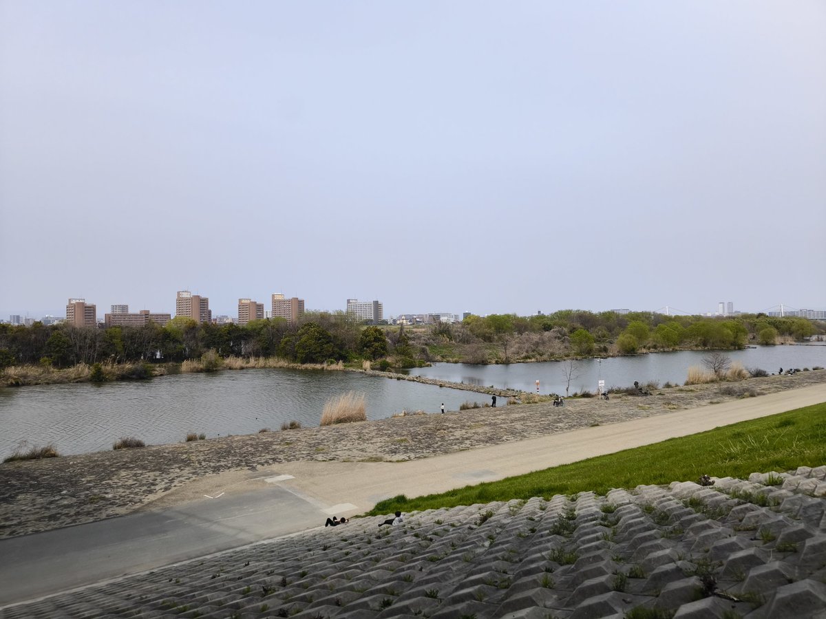 ブルフロッグ tweet media