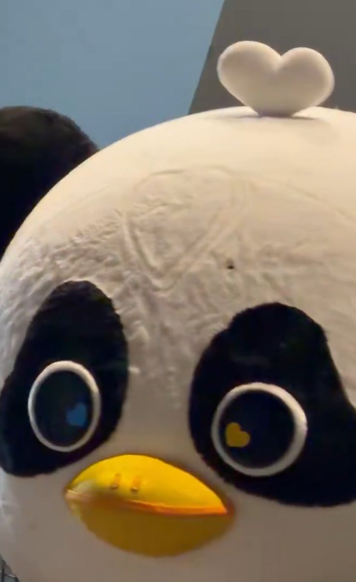 แมวแมวเอง รุ่งเรืองสุข (เคะไม่ผิด) tweet media