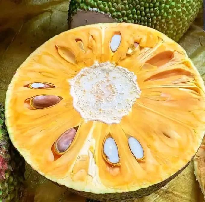 🔥 ◦•●◉✿̶𝐈𝐕𝐀𝐒𝐇 *UG* 🇺🇬💥 tweet media