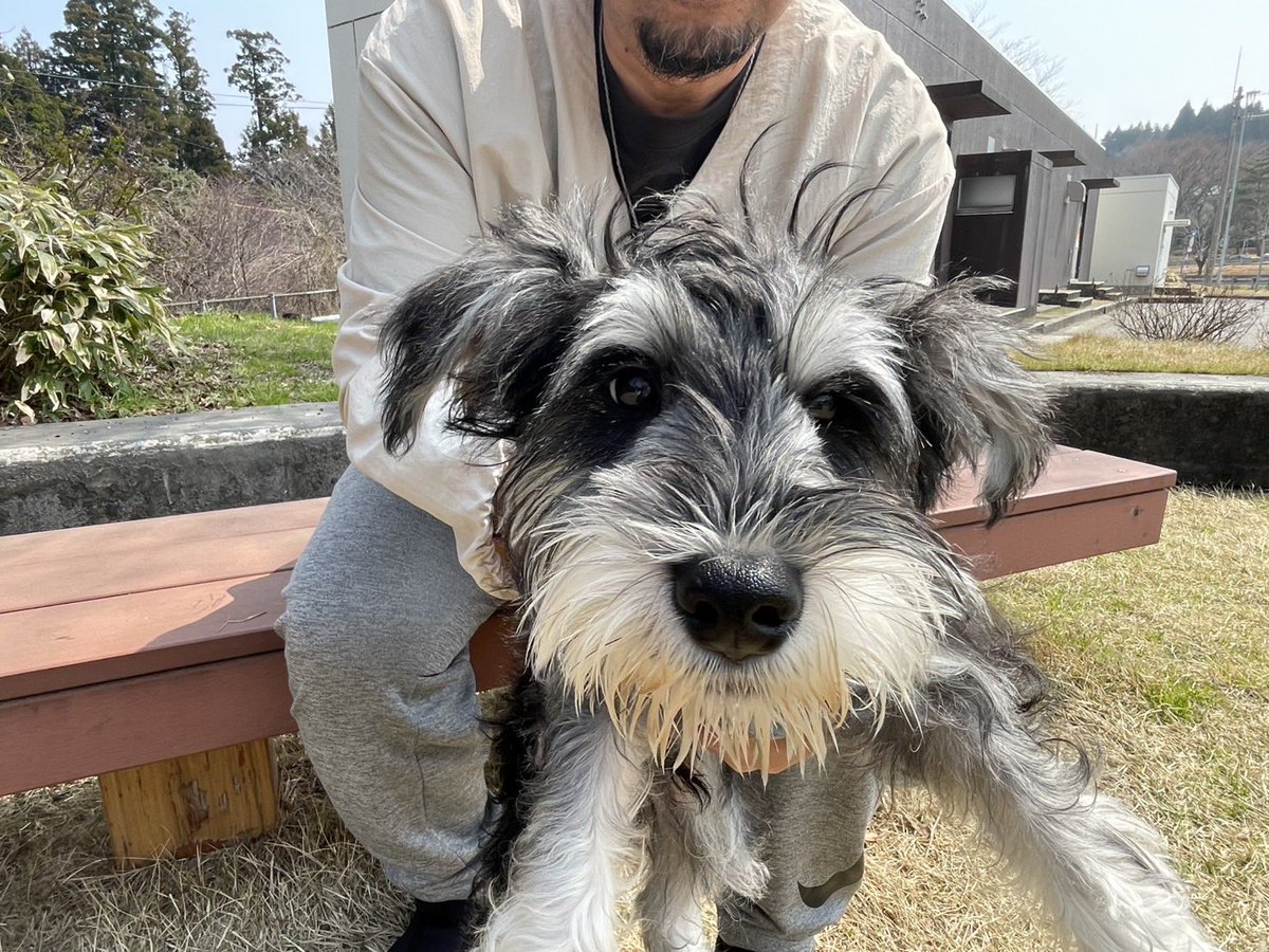 小鉄の父ちゃん tweet media