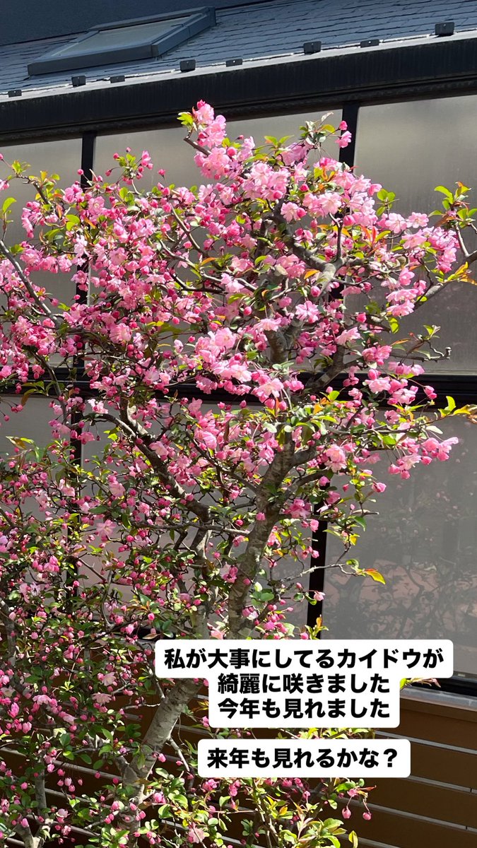 澤田 勝秋 (@katsuakisawada) on Twitter photo 