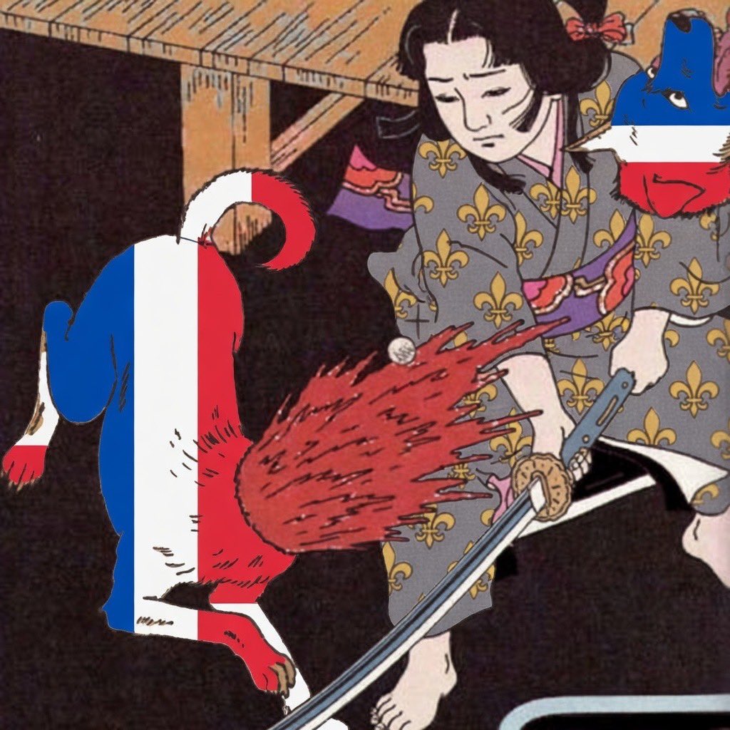 天使 (ange) Aquinate 🪽🇻🇦 (⚛️❌) tweet media