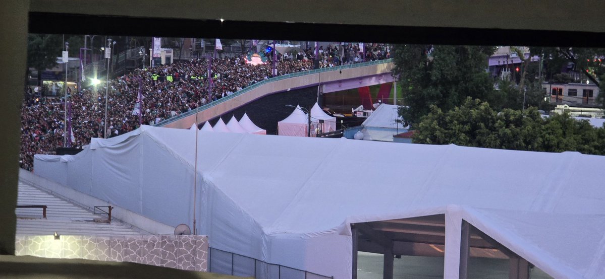 divbaggio tweet media