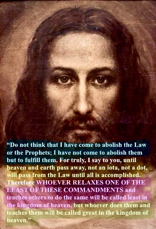 FlatEarthFlyer tweet media