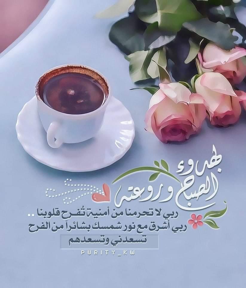 Mohamed Adel 🇦🇹🏹❤️ tweet media