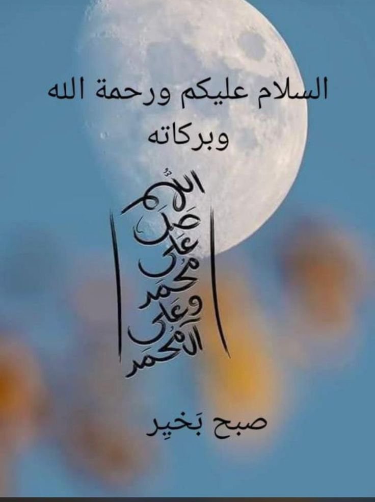 Kashif khan lodhi tweet media