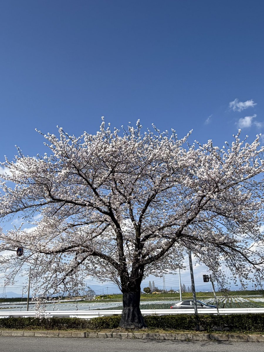 save直me tweet media