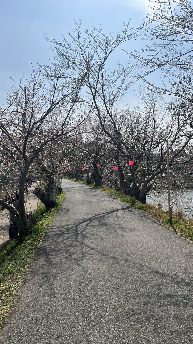 こんごう tweet media