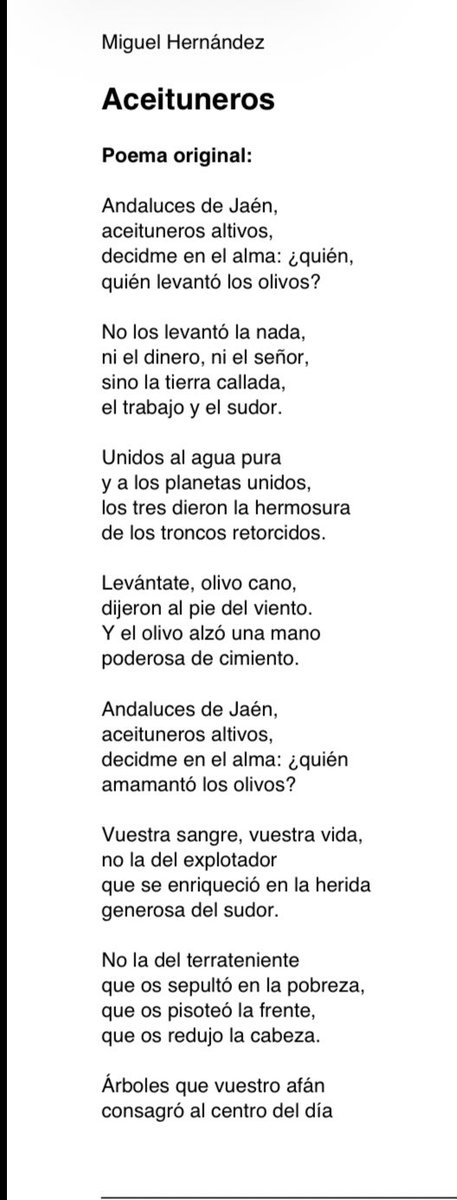 cantorodado tweet media