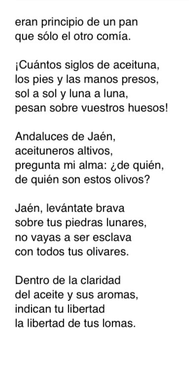 cantorodado tweet media