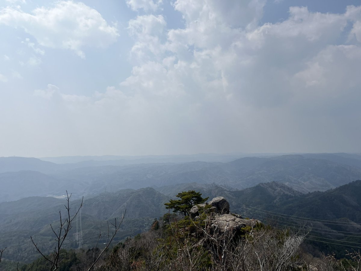 マサ坊 tweet media