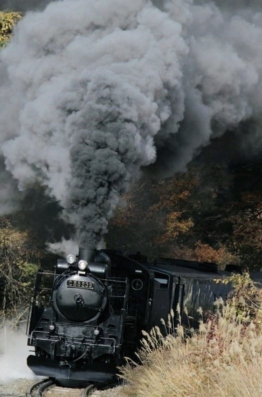 つばさ51号 tweet media