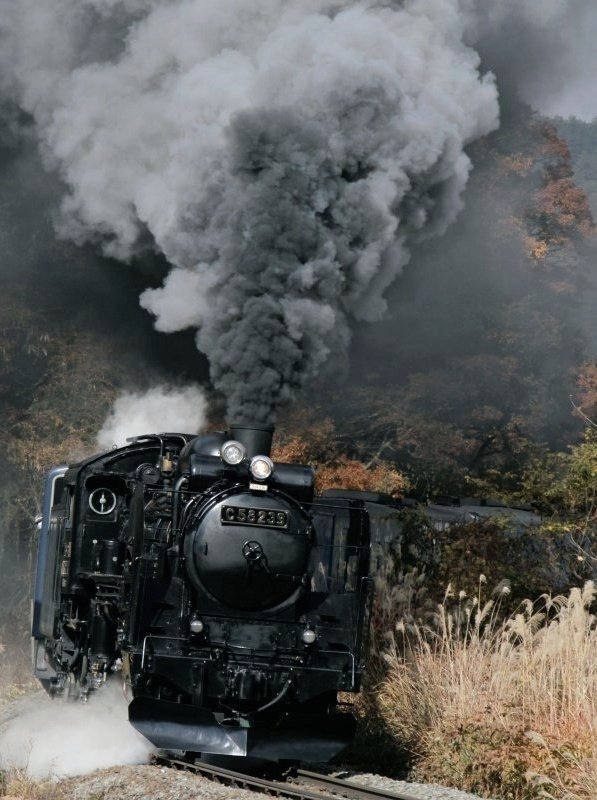 つばさ51号 tweet media