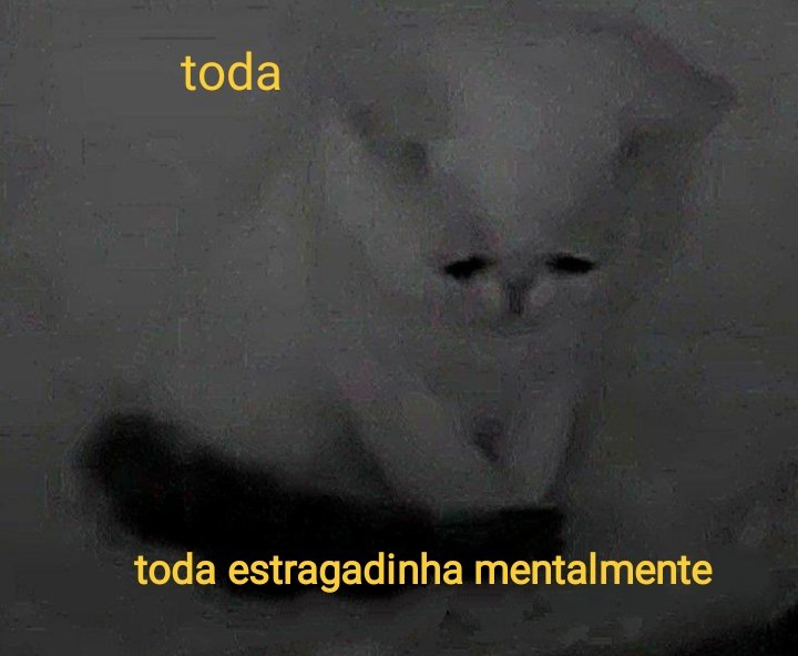 diabo de saia tweet media