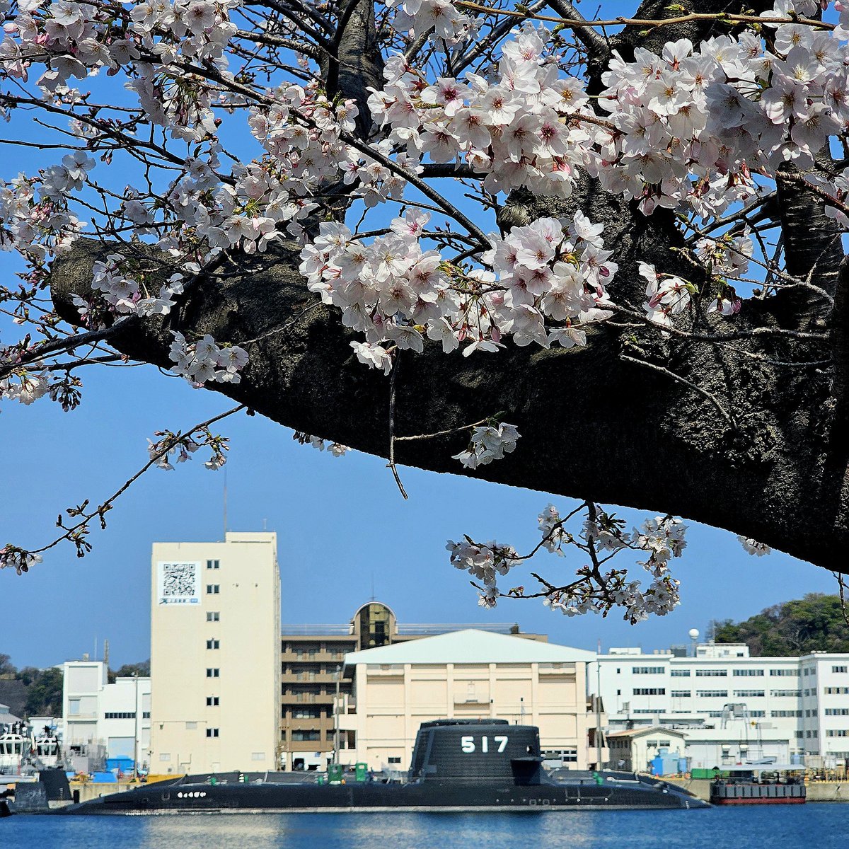 MICHIYA MURATA tweet media