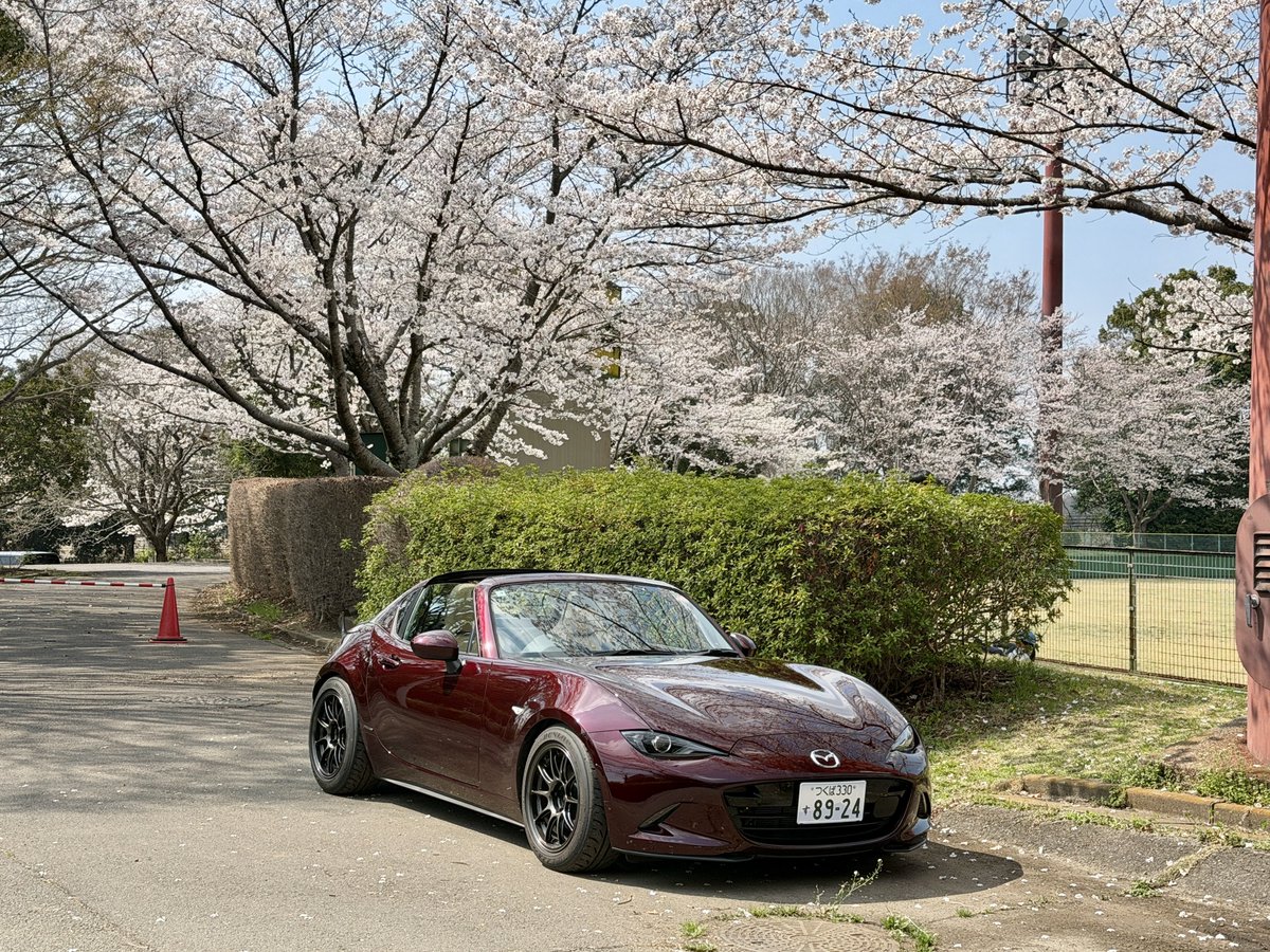 ハリーさん🦔 tweet media