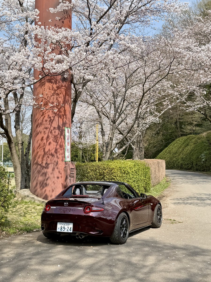 ハリーさん🦔 tweet media