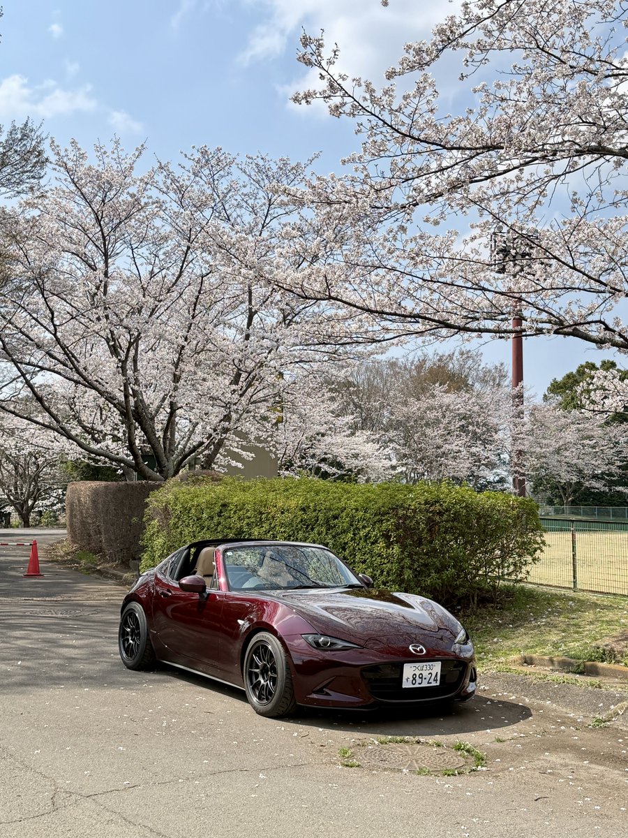 ハリーさん🦔 tweet media