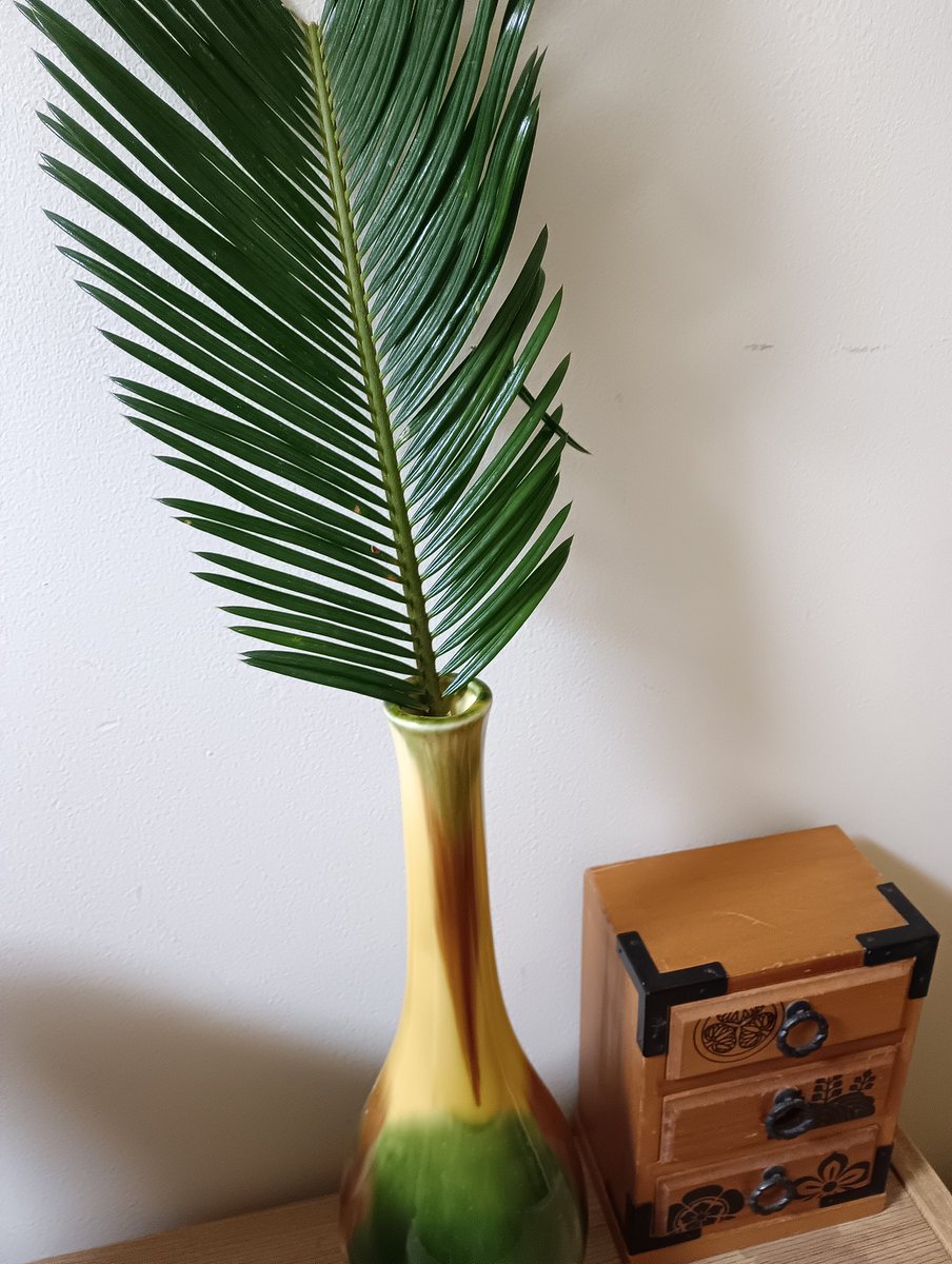 シンシンカン tweet media