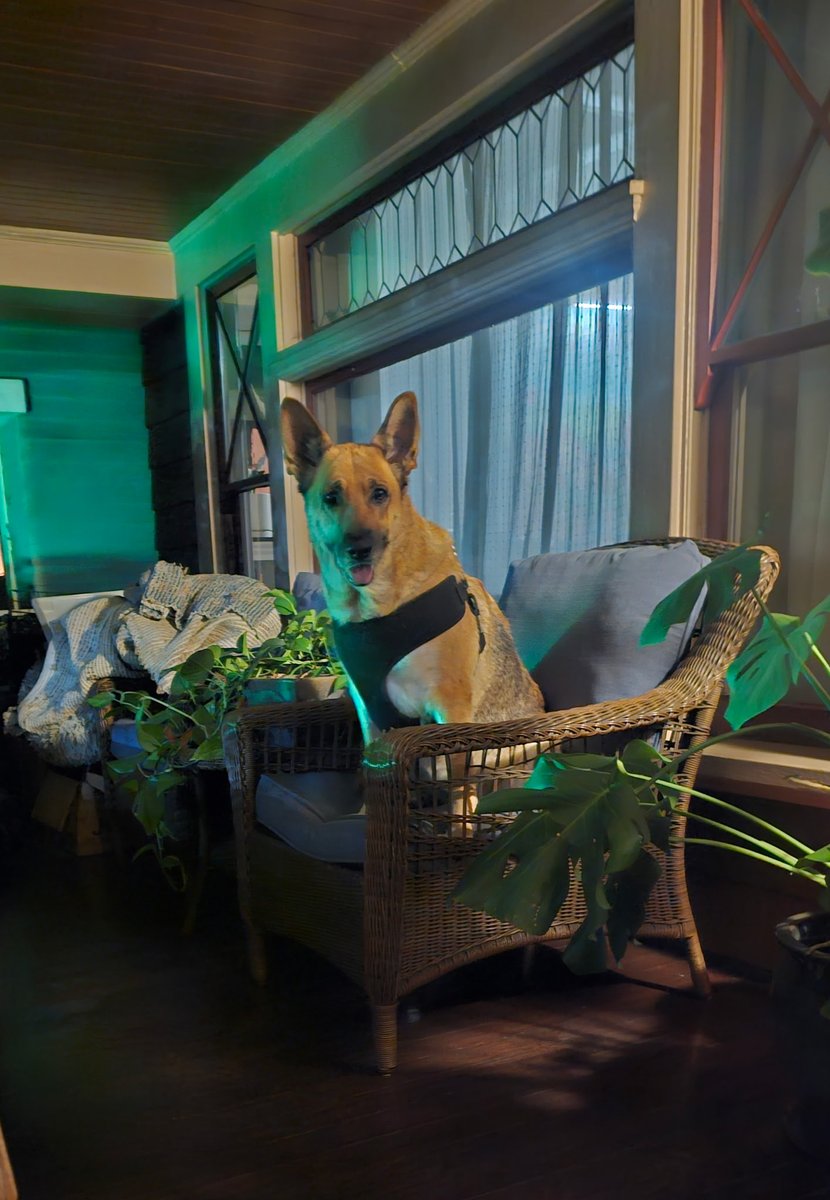 JoeyTuccio tweet media