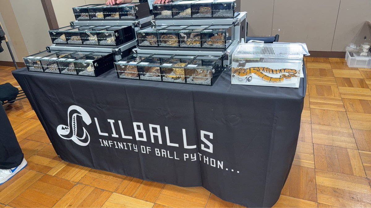 LilBalls tweet media