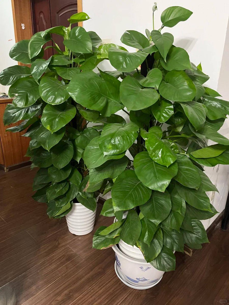 Gloria Moss tweet media