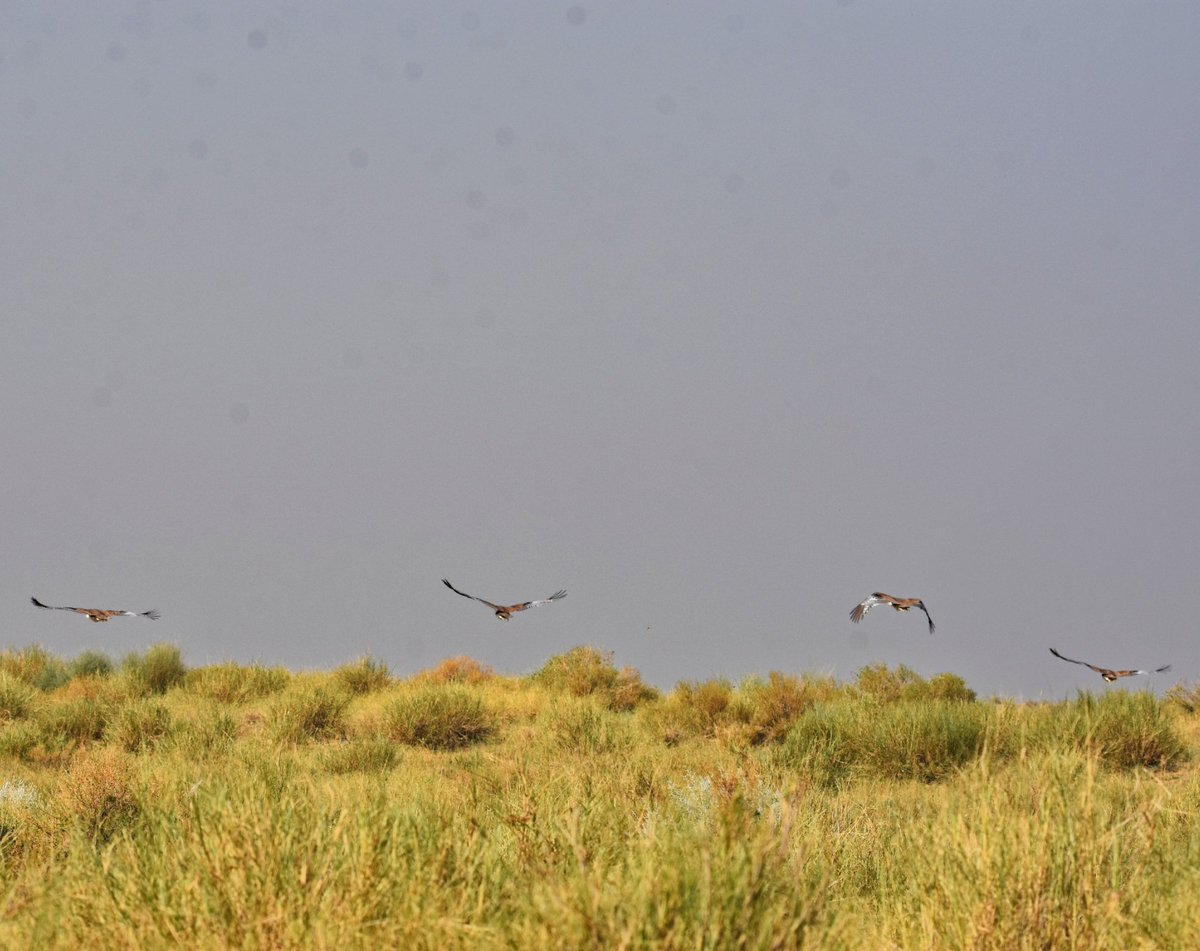 Syed Rizwan Mehboob tweet media