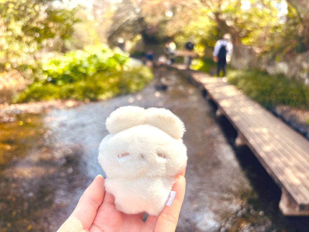 おくまほ🍬 tweet media