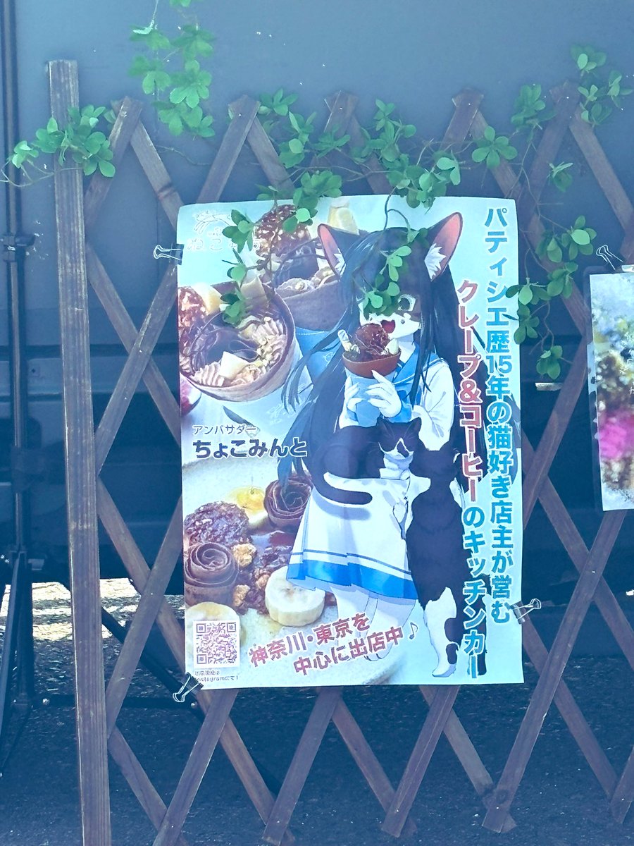 ちょこみんと🍫🌱 tweet media