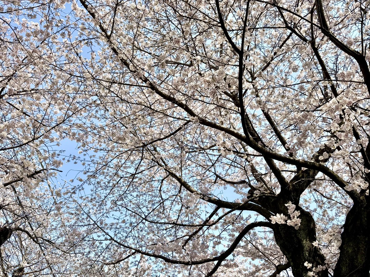 きょーみん🎙小川京美🖋 tweet media