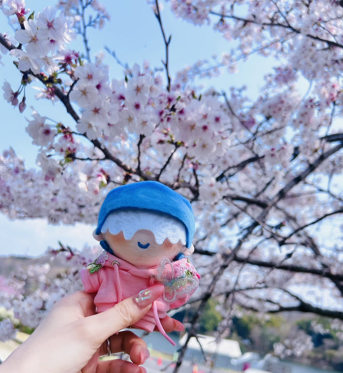 ティア tweet media