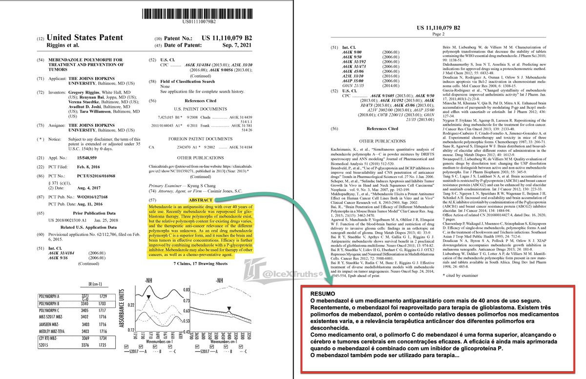 ･ Ice ･  Ⅹ ･ tweet media